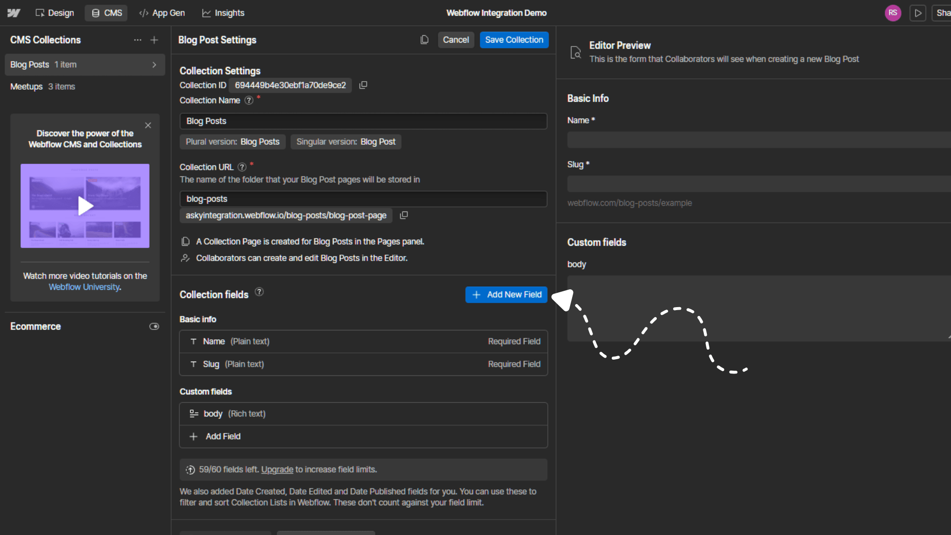 Webflow "Add Field" dialog with Plain Text (multi-line) selected and label "Asky Schema"